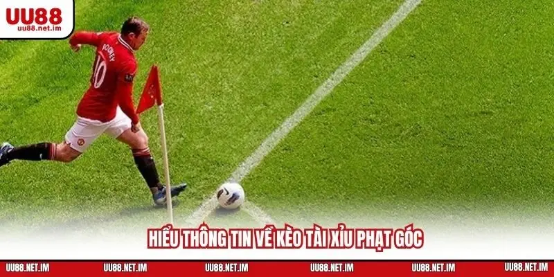 Hiểu thông tin về kèo tài xỉu phạt góc