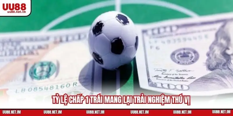 Tỷ lệ chấp 1 trái mang lại trải nghiệm thú vị